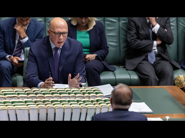 ⁣Labor and Coalition disagree on motion over 'grotesque atrocities' on October 7