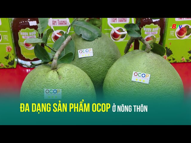 ⁣Đa dạng sản phẩm OCOP ở nông thôn