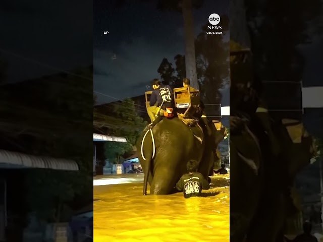 ⁣Rescuers use elephants to navigate flooded Thai streets - ABC News