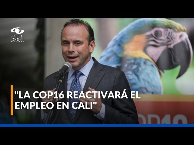 ⁣Alcalde Alejandro Eder habla de las muestras culturales que habrá durante la COP16 en Cali