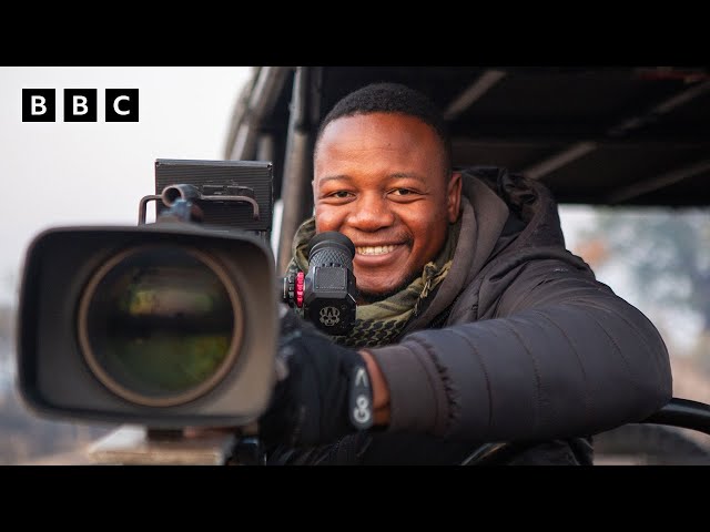 ⁣Sleeping under the stars with lions  - BBC