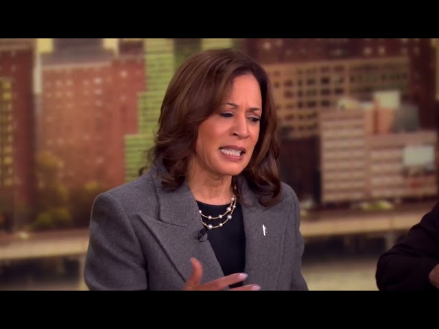 ⁣Kamala Harris talks Hurricane Milton preparedness on The View