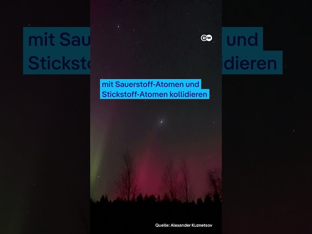 ⁣Naturschauspiel: Polarlichter über Lappland | DW Nachrichten