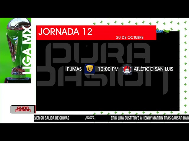 ⁣Da inicio la jornada 12 de la Liga MX con los siguientes encuentros.