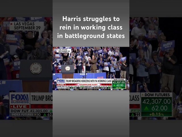 ⁣Dems voice concern over Kamala Harris’ appeal to working class voters in battleground state #shorts