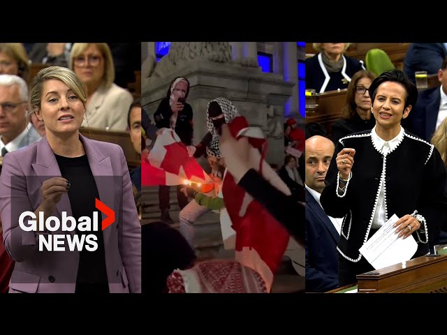 ⁣MPs denounce Pro-Palestinian group chanting "death to Canada," burning flag at Vancouver r