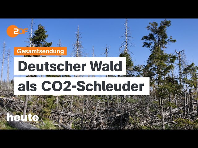 heute 19:00 Uhr vom 08.10.2024 Bundeswaldinventur, Rekordwert Krankschreibungen, SPD-Generalsekretär