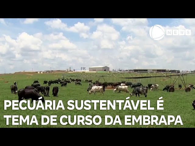 ⁣Conexão Agro: Pecuária sustentável é tema de curso oferecido pela Embrapa