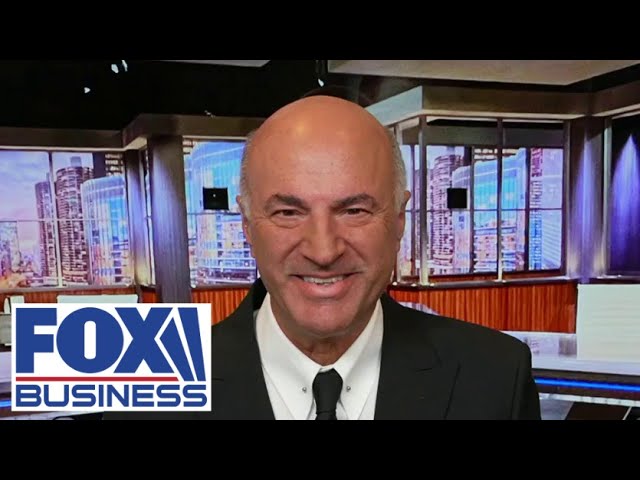 ⁣Kamala Harris is ‘paying the price’: Kevin O’Leary