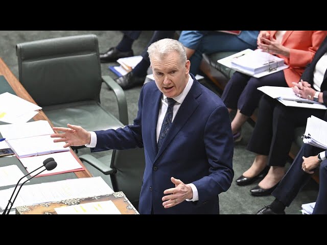 ⁣Visa cancellations relating to Gaza have been offshore: Tony Burke