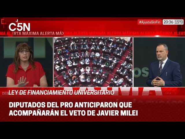 ⁣DEBATE sobre el PRESUPUESTO UNIVERSITARIO en DIPUTADOS: EL PRO ACOMPAÑA EL VETO