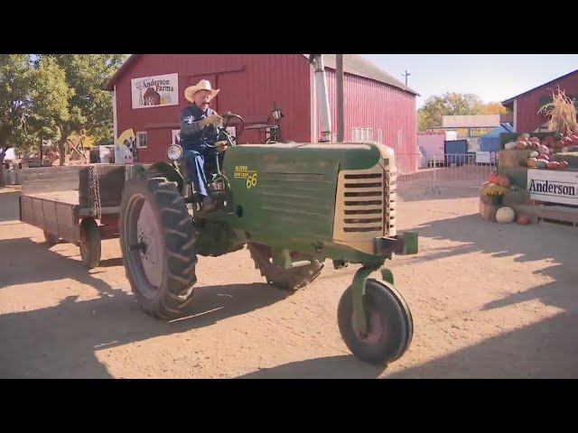 ⁣Local thrill: Colorado's oldest and spookiest corn maze