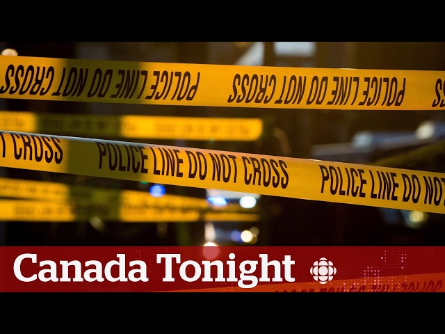 ⁣Business leaders call on government to tackle crime, addiction in downtowns | Canada Tonight