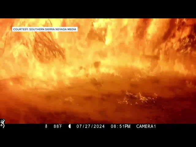 ⁣WATCH: Trail cameras in Walker Basin capture incredible footage of Borel Fire and