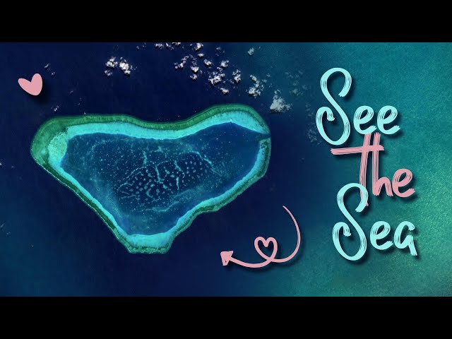 ⁣AIGC MV: See the Sea