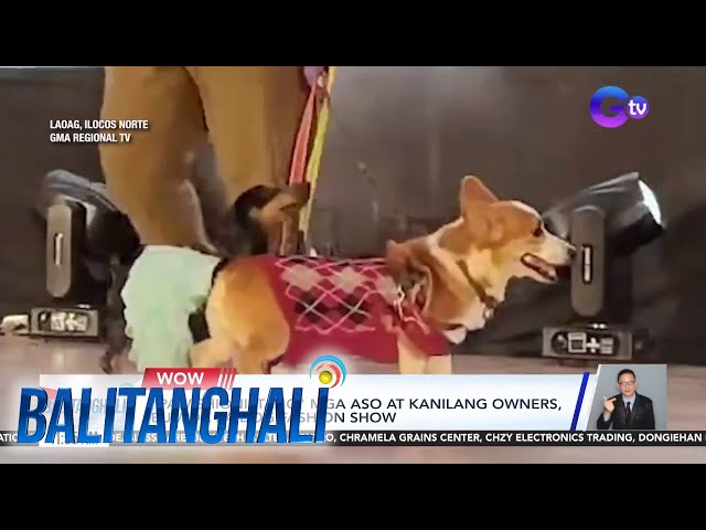 ⁣"Paw-shionistang" mga aso at kanilang owners, bumida sa dog fashion show | Balitanghali