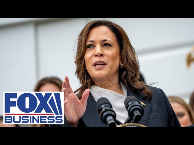 ⁣Kamala Harris needs to grow up and do her job, or step aside: GOP lawmaker