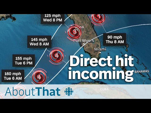 ⁣Florida bracing: Why is Hurricane Milton so threatening? | About That