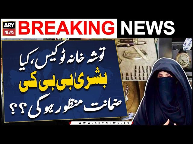 ⁣Toshakhana 2 case: Will Bushra Bibi get bail?