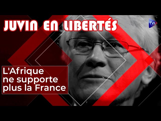 ⁣[Format court] Quand l'Afrique ne supporte plus la France - Juvin en Libertés - TVL