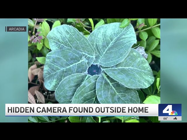 ⁣Man finds hidden camera outside Arcadia home