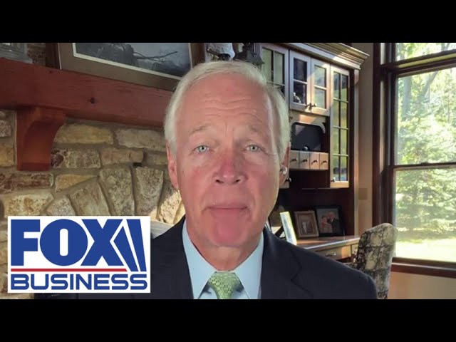 ⁣Sen. Ron Johnson: They are obviously trying to buy votes