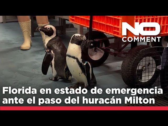 ⁣NO COMMENT: Florida en estado de emergencia ante el paso del huracán Milton