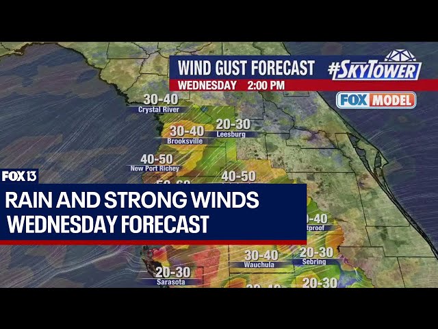 ⁣Tampa weather: Tracking Hurricane Milton