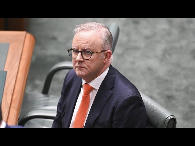 ⁣Anthony Albanese ‘forced to eat big slice of humble pie’: Sharri Markson