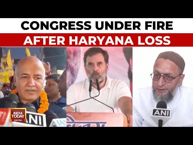 ⁣Congress Faces Backlash Post Haryana Defeat, Allies Urge Reflection | Haryana Election 2024 Results