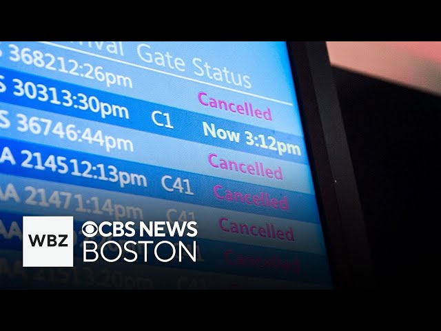 ⁣Hurricane Milton causing travel impacts in Boston and more top stories