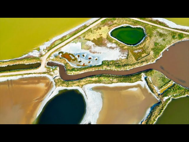 ⁣Yuncheng Salt Lake in north China unveils stunning autumn look