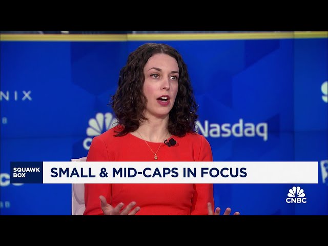 ⁣Mid-cap stocks are a better hedge in the near term than small caps, says BofA's Jill Carey Hall