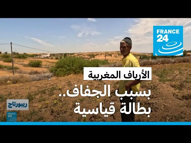 بسبب الجفاف.. بطالة قياسية في الأرياف المغربية