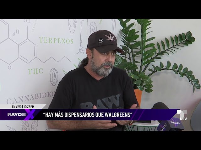 ⁣Industria del cannabis medicinal enfrenta problemas de saturación