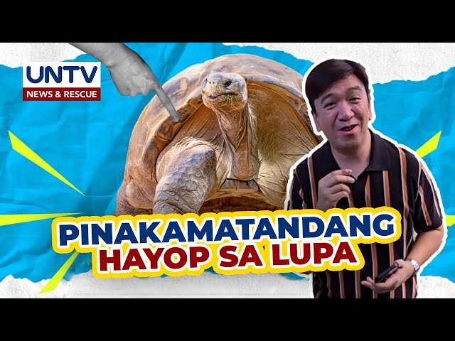 ⁣ALAMIN: Pinakamatandang hayop na nabubuhay sa mundo