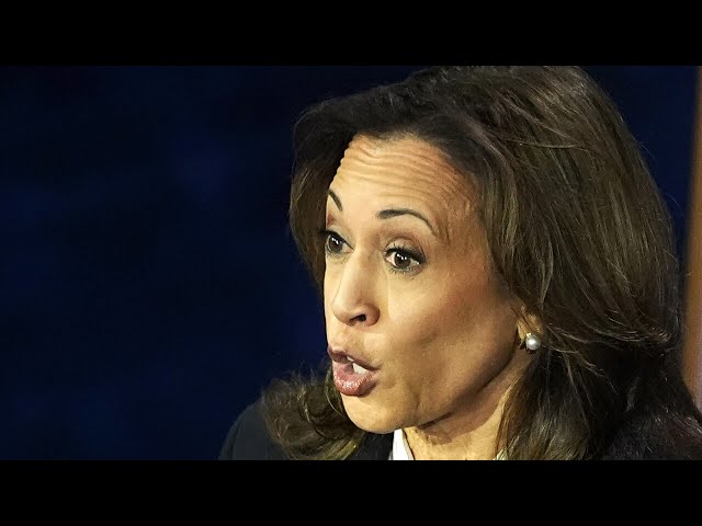 ⁣Kamala Harris has ‘no role to play’ amid pushing herself into media around Hurricane Milton