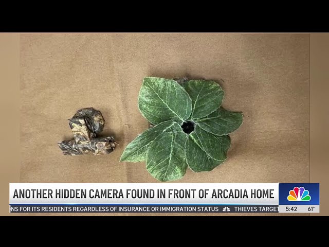 ⁣Another hidden camera found in yard of Arcadia home