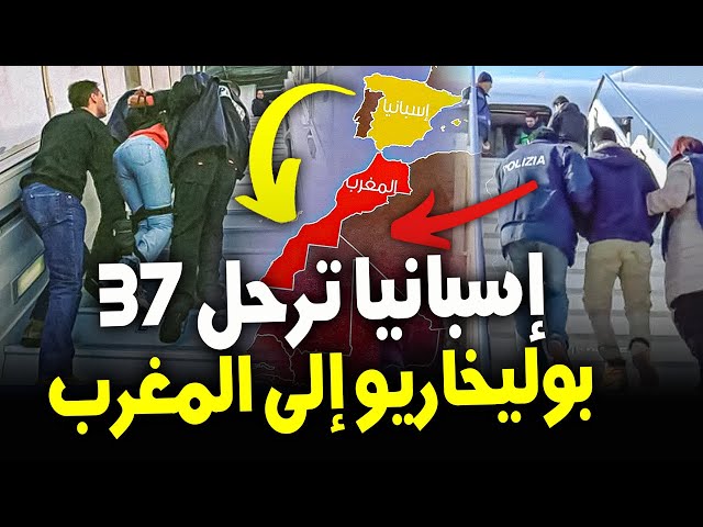 ⁣إسبانيا ترحل 37 صحراويا من طالبي اللجوء إلى المغرب