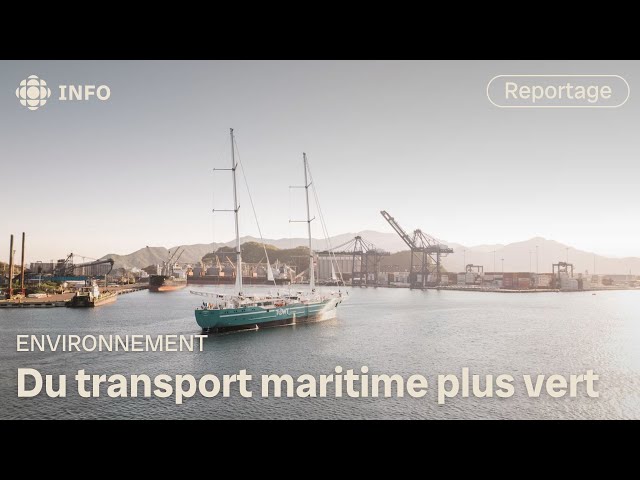 ⁣Cap sur la décarbonation maritime grâce aux voiliers-cargos