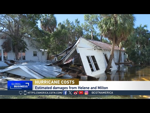 ⁣Global Business: Florida Hurricanes & Global Climate Change