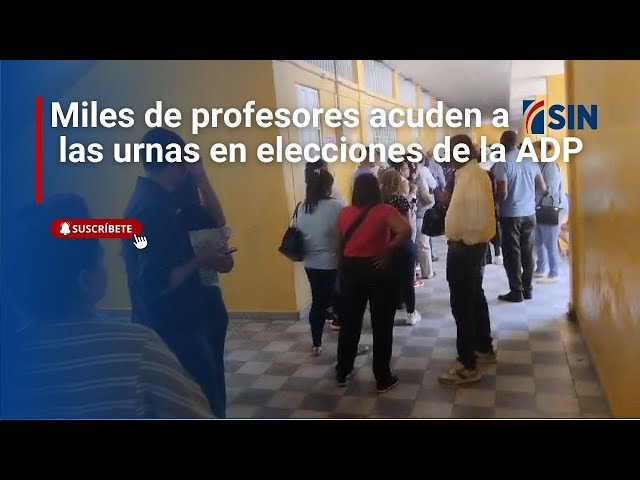 ⁣Miles de profesores acuden a las urnas en elecciones de la ADP