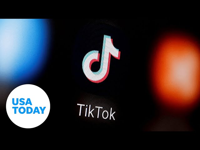 ⁣TikTok sued,13 states and DC accuse the app of harming younger users | USA TODAY