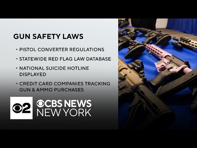 ⁣Former Rep. Gabby Giffords on hand for signing of new New York gun safety measures