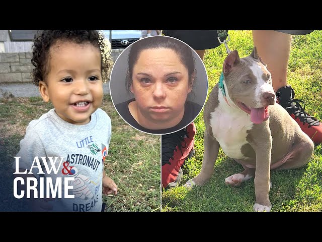 ⁣Baby is Ripped Apart by Vicious Pitbulls After Babysitter Left Child in Bedroom: Cops