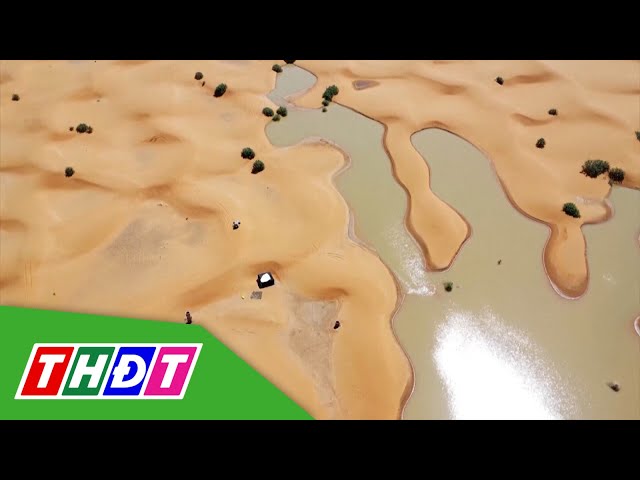 ⁣Lũ lụt hiếm thấy trên sa mạc Sahara ở Maroc | THDT