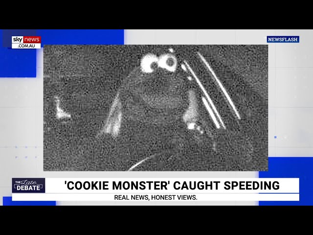 ⁣Cookie Monster caught speeding in Germany