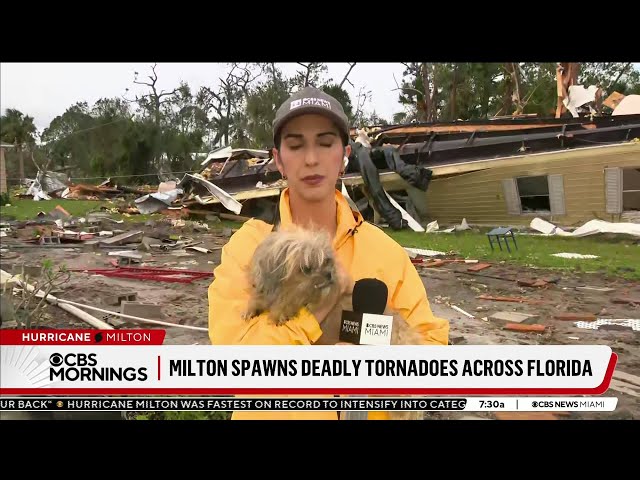 ⁣Dog named Benji found in rubble at Florida mobile community after Hurricane Milton swept through