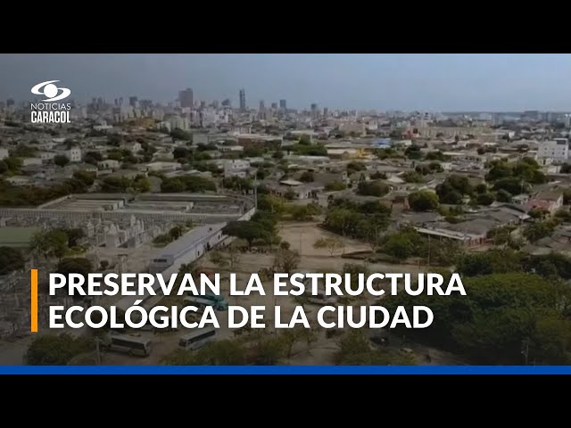 ⁣Barranquilla gana reconocimiento mundial por su apuesta a la conservación del medio ambiente