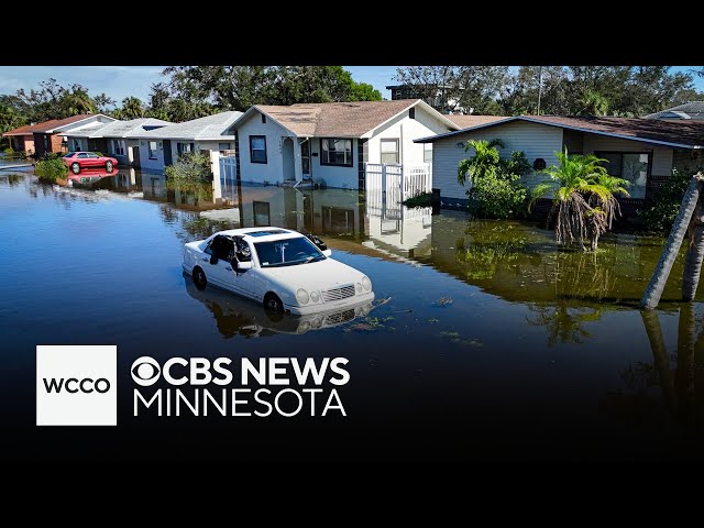 ⁣Minnesota native cleaning up in Naples after Hurricane Milton